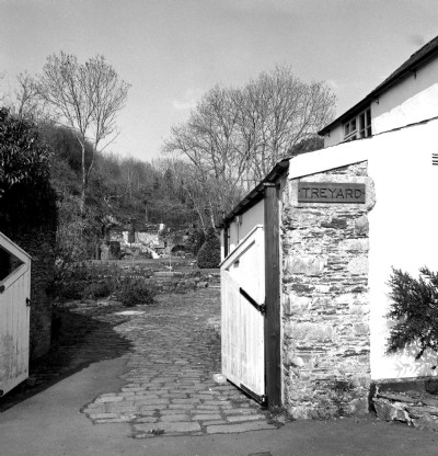 Historic Photographs Of Tamar
