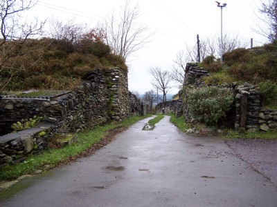 Photographs Of Tan-Y-Bwlch