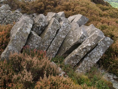 Tan-y-graig.