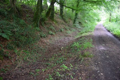 The Tavistock Canal
