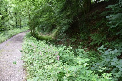 The Tavistock Canal