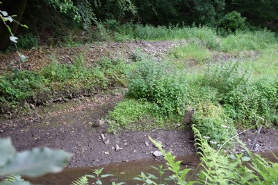 The Tavistock Canal