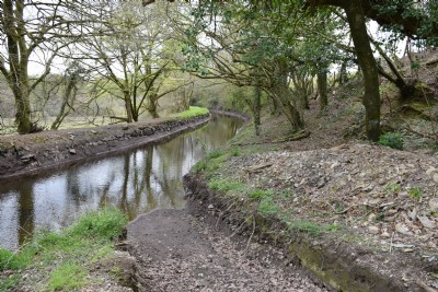 The Tavistock Canal