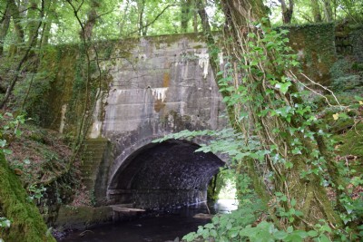 The Tavistock Canal