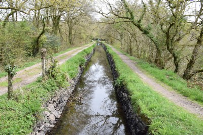 The Tavistock Canal
