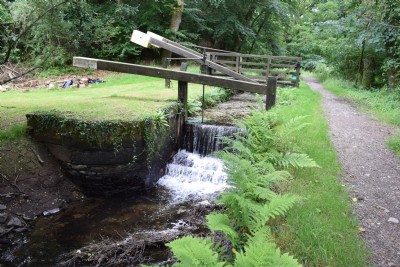 The Tavistock Canal