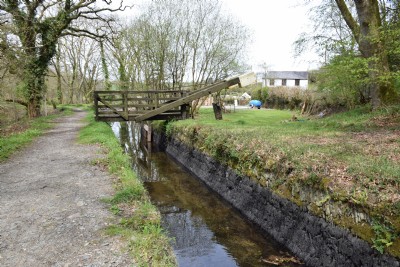 The Tavistock Canal