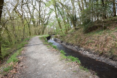 The Tavistock Canal