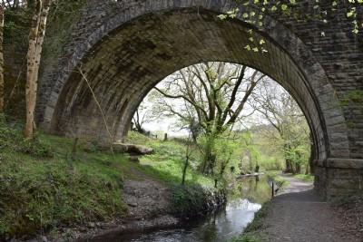 The Tavistock Canal