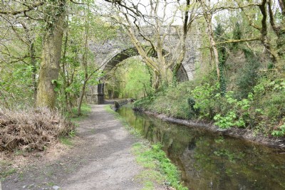 The Tavistock Canal