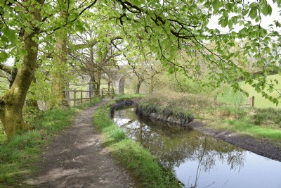The Tavistock Canal
