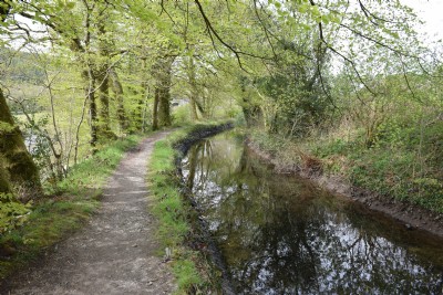 The Tavistock Canal