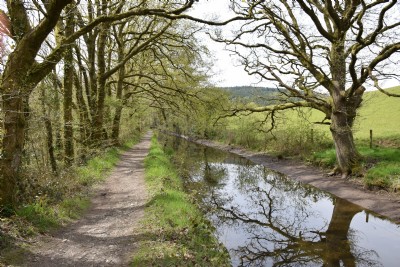 The Tavistock Canal