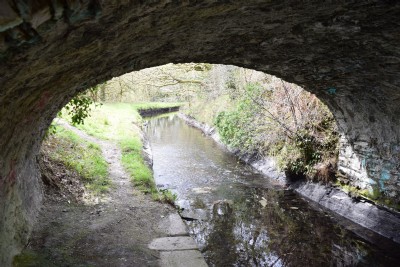 The Tavistock Canal