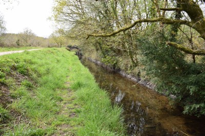 The Tavistock Canal
