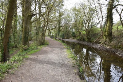 The Tavistock Canal