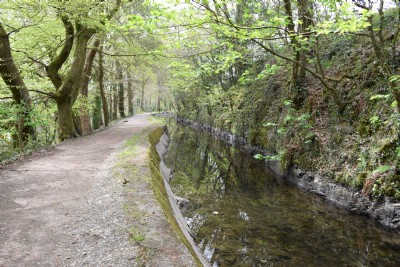 The Tavistock Canal
