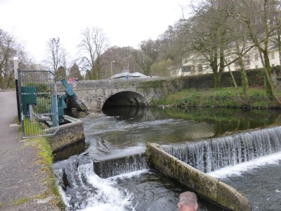 The Tavistock Canal