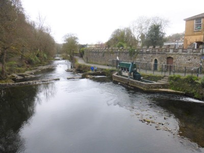 The Tavistock Canal