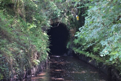 Tavistock Canal