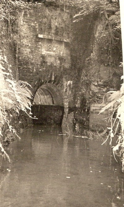 Lumburn portal of Tavistock Canal Tunnel