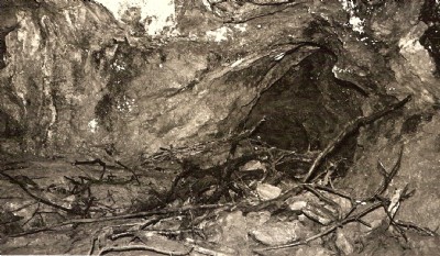Photographs Of Tavistock Canal