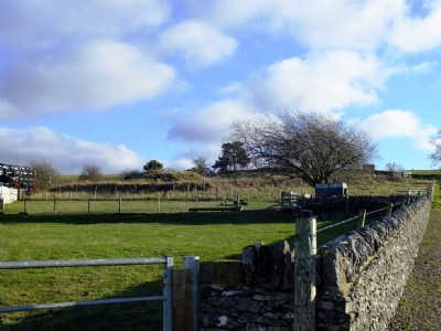 Photographs Of Taylors Shaft