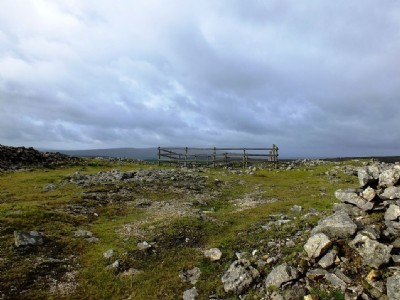 Photographs Of Taylors Shaft
