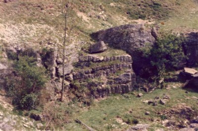 Taynton Quarries rock face, 1979