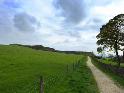 Photographs Of Tegg's Nose (Photo ref 94597)