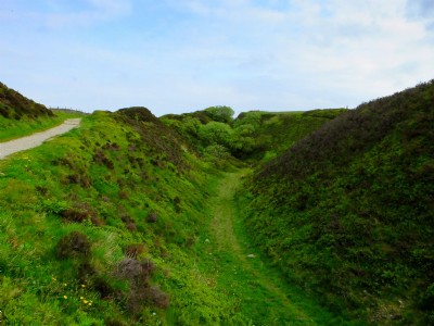 Photographs Of Tegg's Nose (Photo ref 94598)