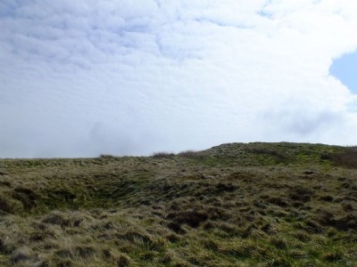 Photographs Of Thatch Marsh