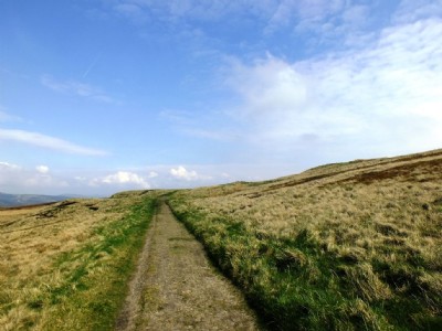 Thatch Marsh Colliery