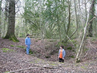 Photographs Of The Hawth Minepits