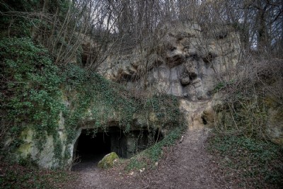 Photographs Of Thier De Vignes.