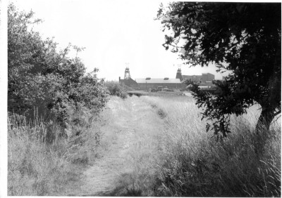 Historic Photographs Of Thoresby Colliery (Photo ref 23896)
