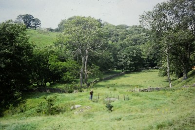 Historic Photographs Of Thorny Brow