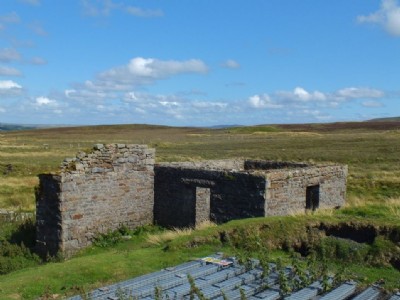 Shaft and washery building