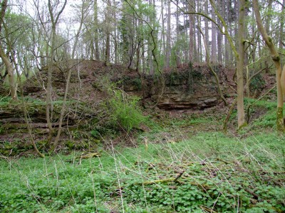 Photographs Of Ticknall Lime Yards