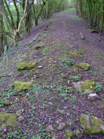 12.04.09 Ticknall Tramway- Trackbed stone setts