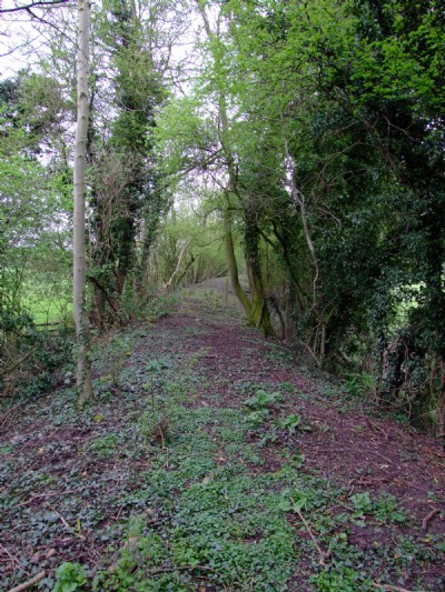 12.04.09 Ticknall Tramway- trackbed embankment