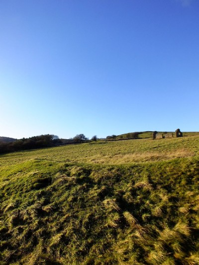 Photographs Of Timperley Vein