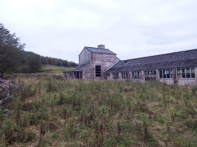 Photographs Of Tower