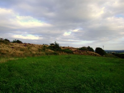 18.08.09 Tower Hill Colliery- Spoil Heap