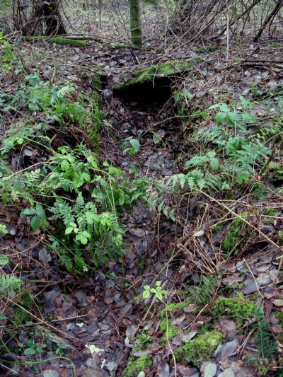 The flue briefly exposed to daylight on the east side of the road (the lower workings)