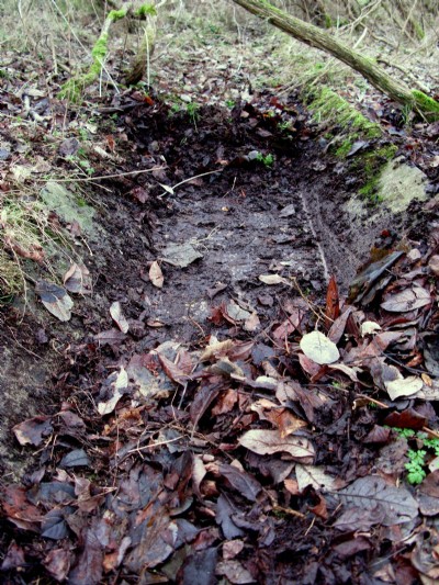 Lower workings: concrete-lined leat
