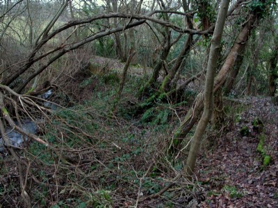 Lower workings: reservoir dam