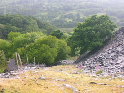 Photographs Of Treflan (Photo ref 18868)