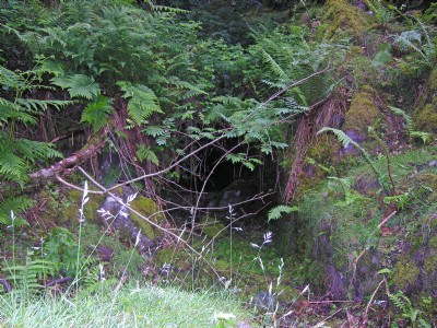 Photographs Of Treflan