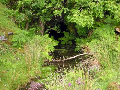 Photographs Of Treflan (Photo ref 18872)